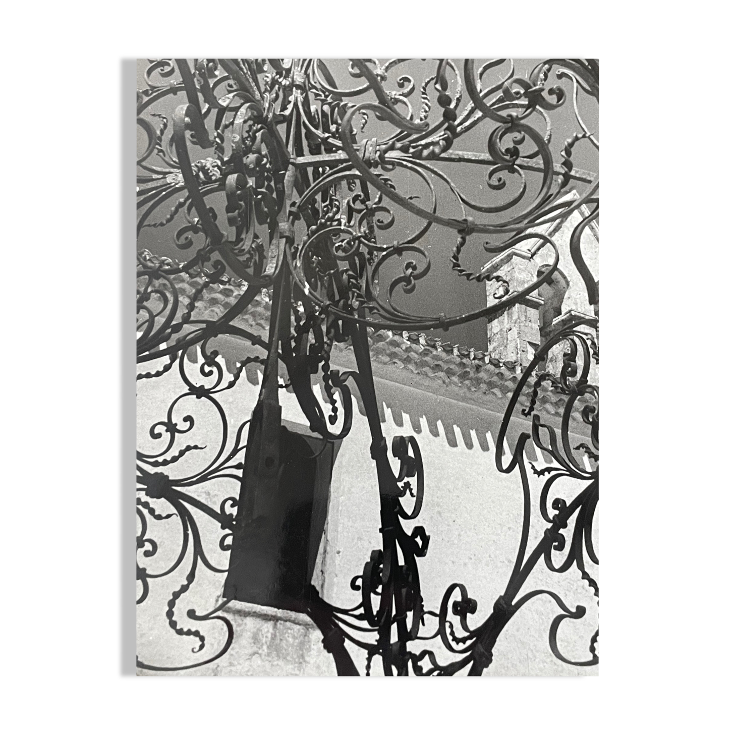 Black and white silver photography early twentieth century