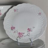 Limoges porcelain service
