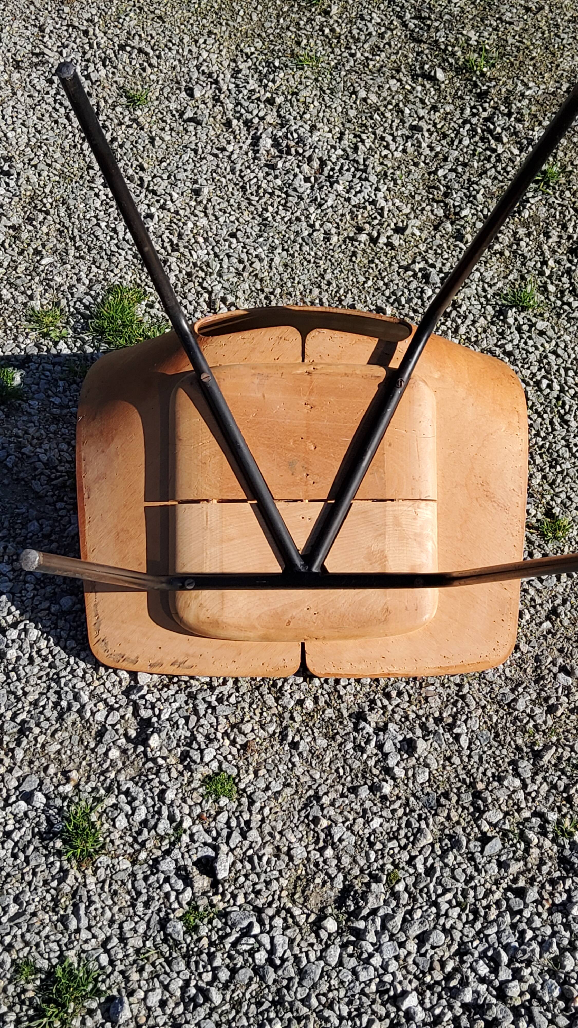 Pair of tonneau chairs by Pierre Guariche plywood base tubes 1954
