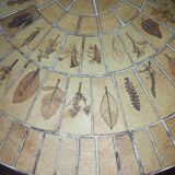 Vallauris Capron ceramic coffee table