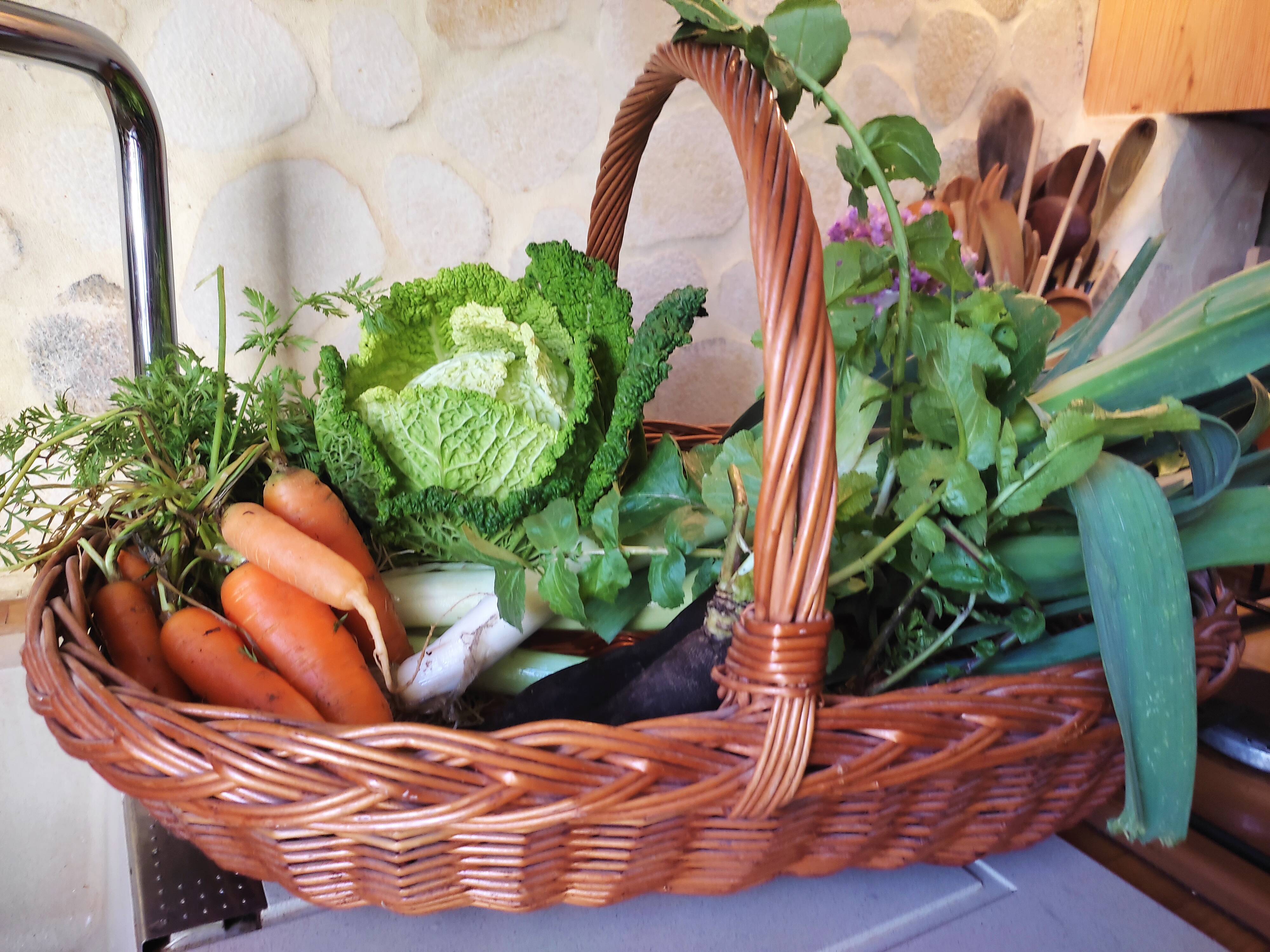 Wicker picking basket