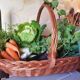 Wicker picking basket