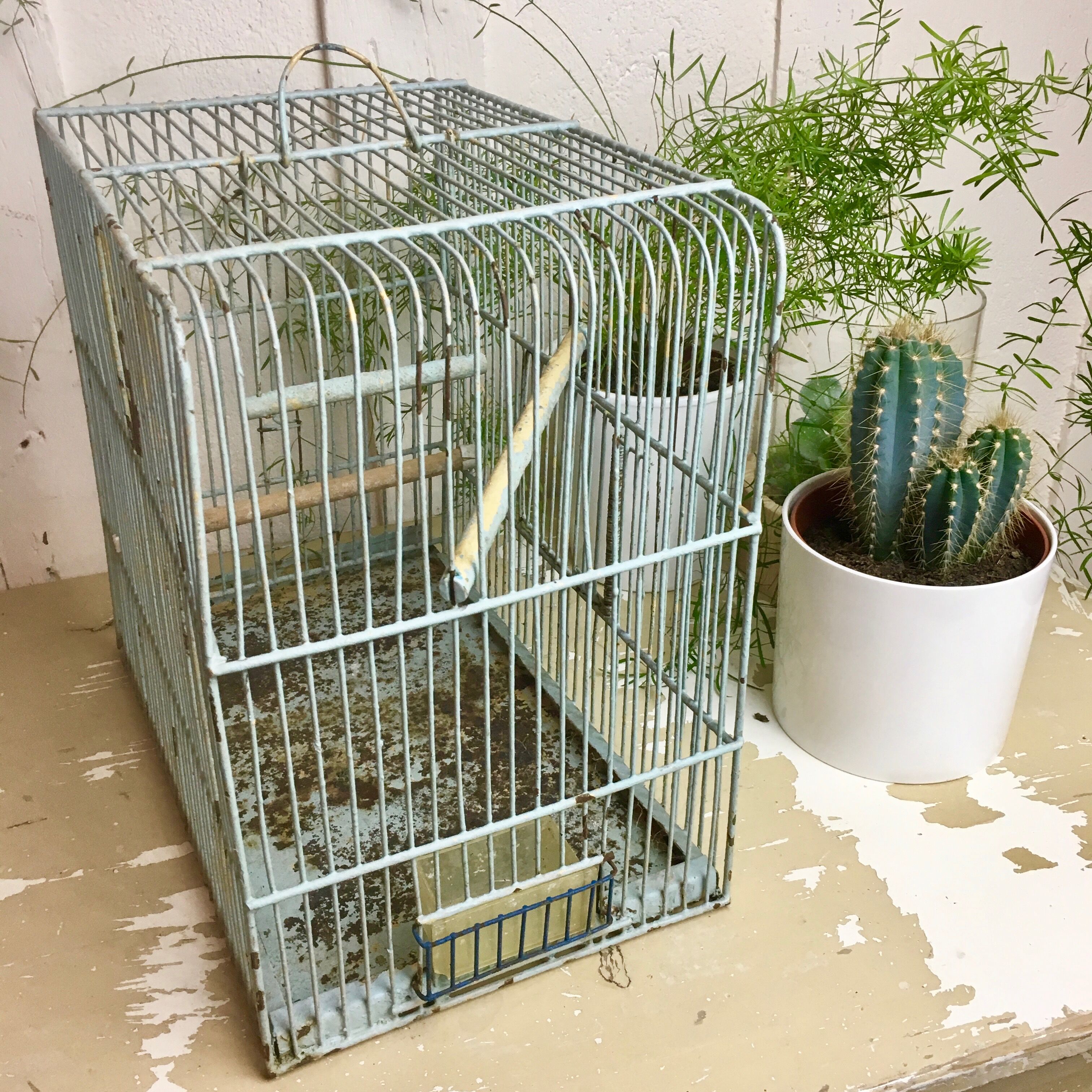 Cage oiseaux ancienne en métal vert amende