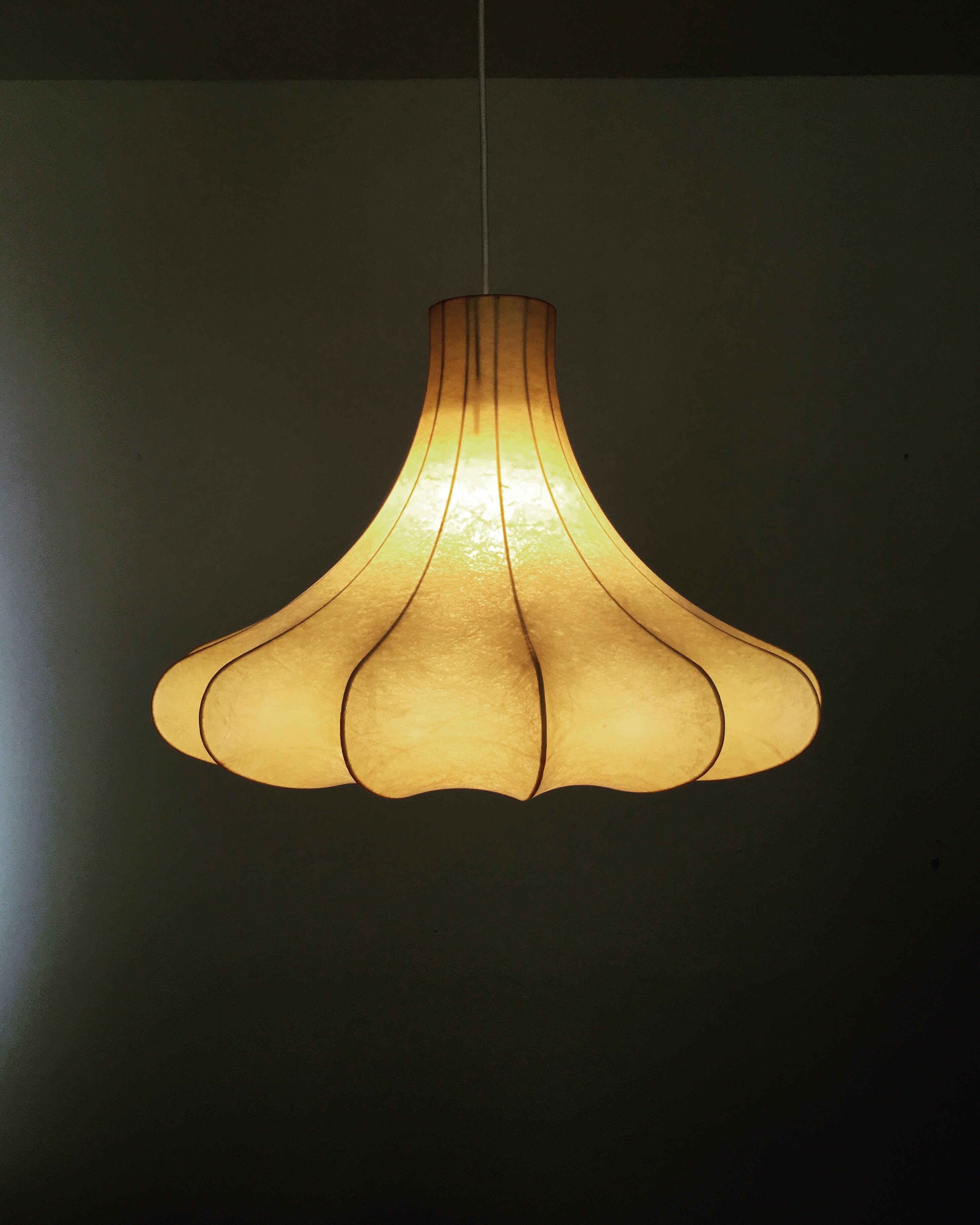 Cocoon hanging lamp from the 1950