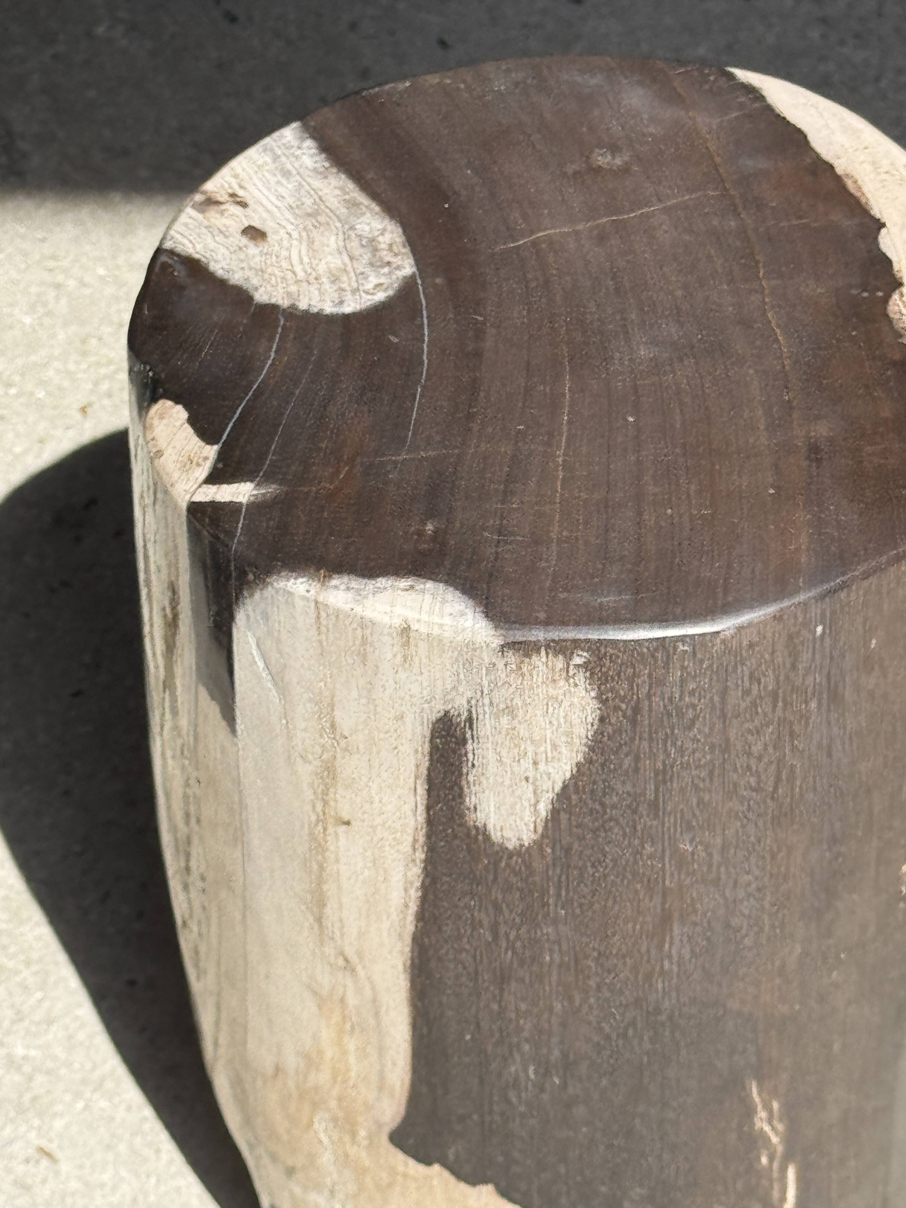 Small side table in black and white petrified wood H28 D18