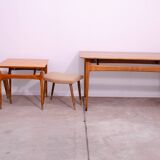 Paire de tabourets de style scandinave par Vyčítal et Sedláček, Tchécoslovaquie, années 1960