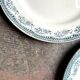 6 Salins flat plates in iron earth, “Moustiers” service