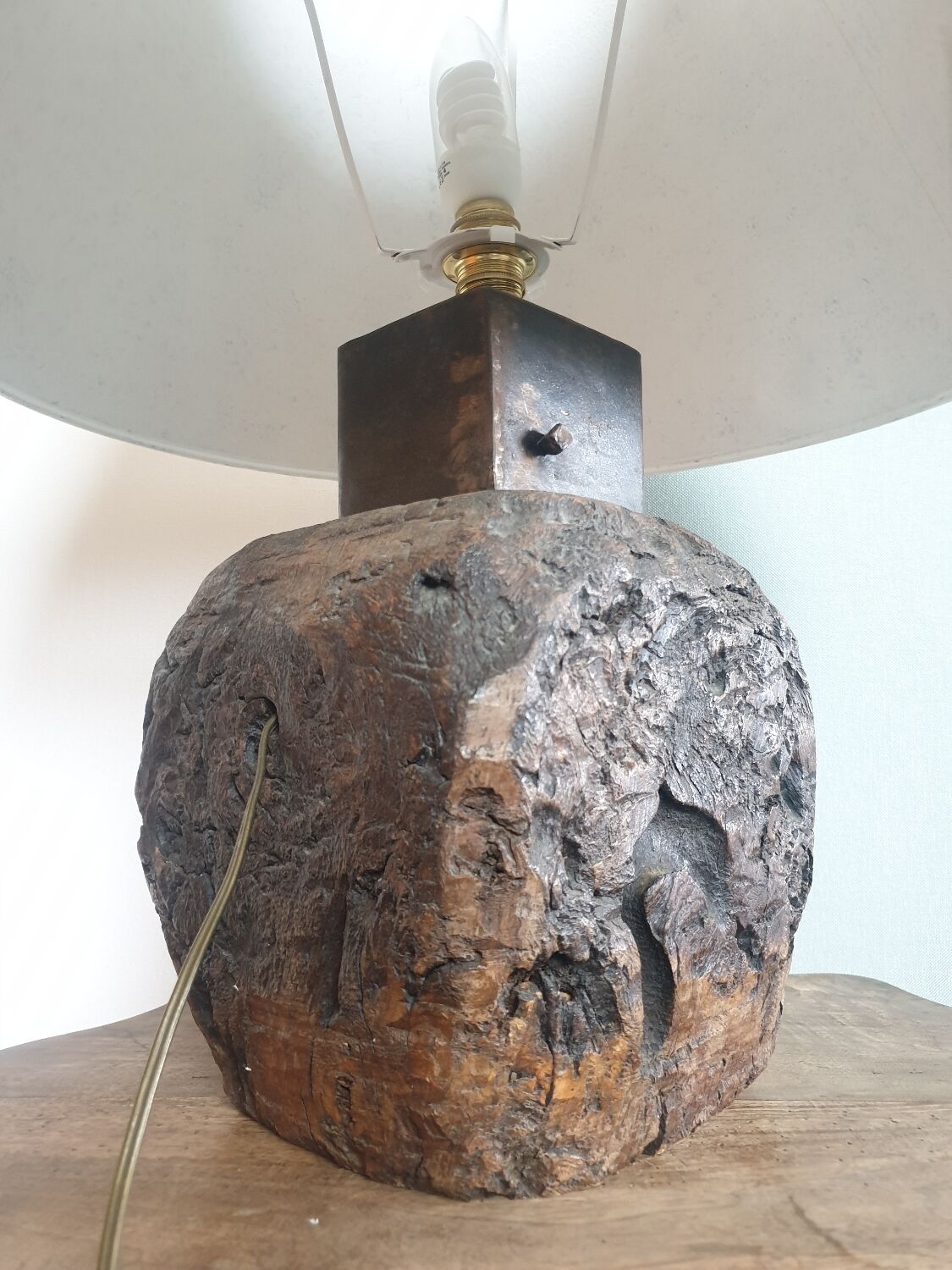 Fossilised Wood Bedside Lamp