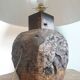 Fossilised wood bedside lamp