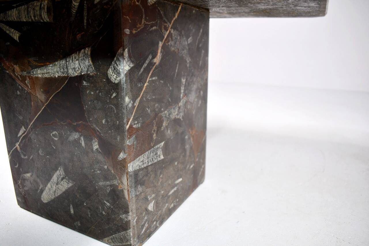 Vintage fossilized stone coffee table