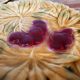 6 dessert plates in barbotine