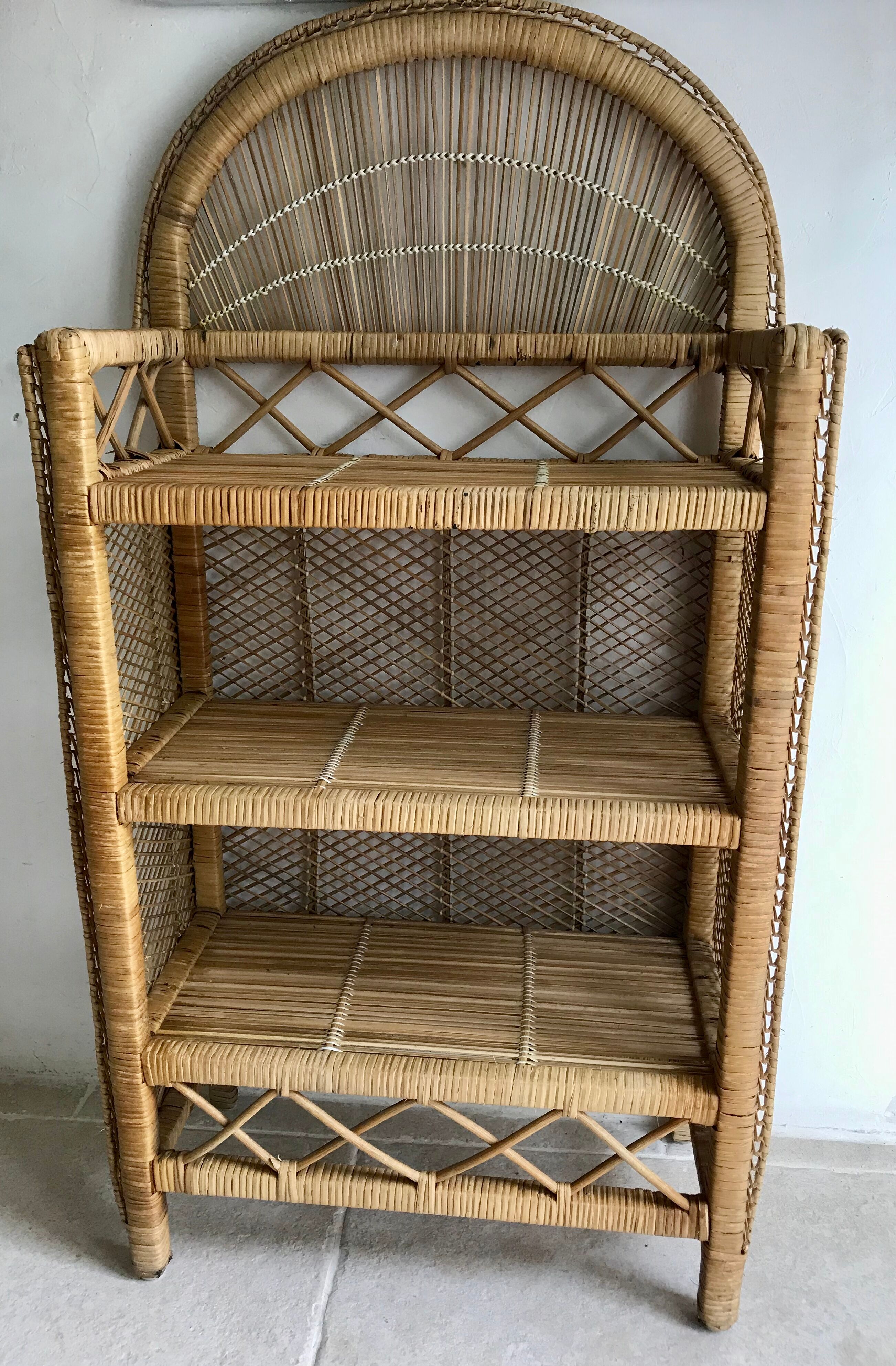 Rattan library