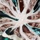 Flower-shaped trinket tray by Zandrini for Vallauris