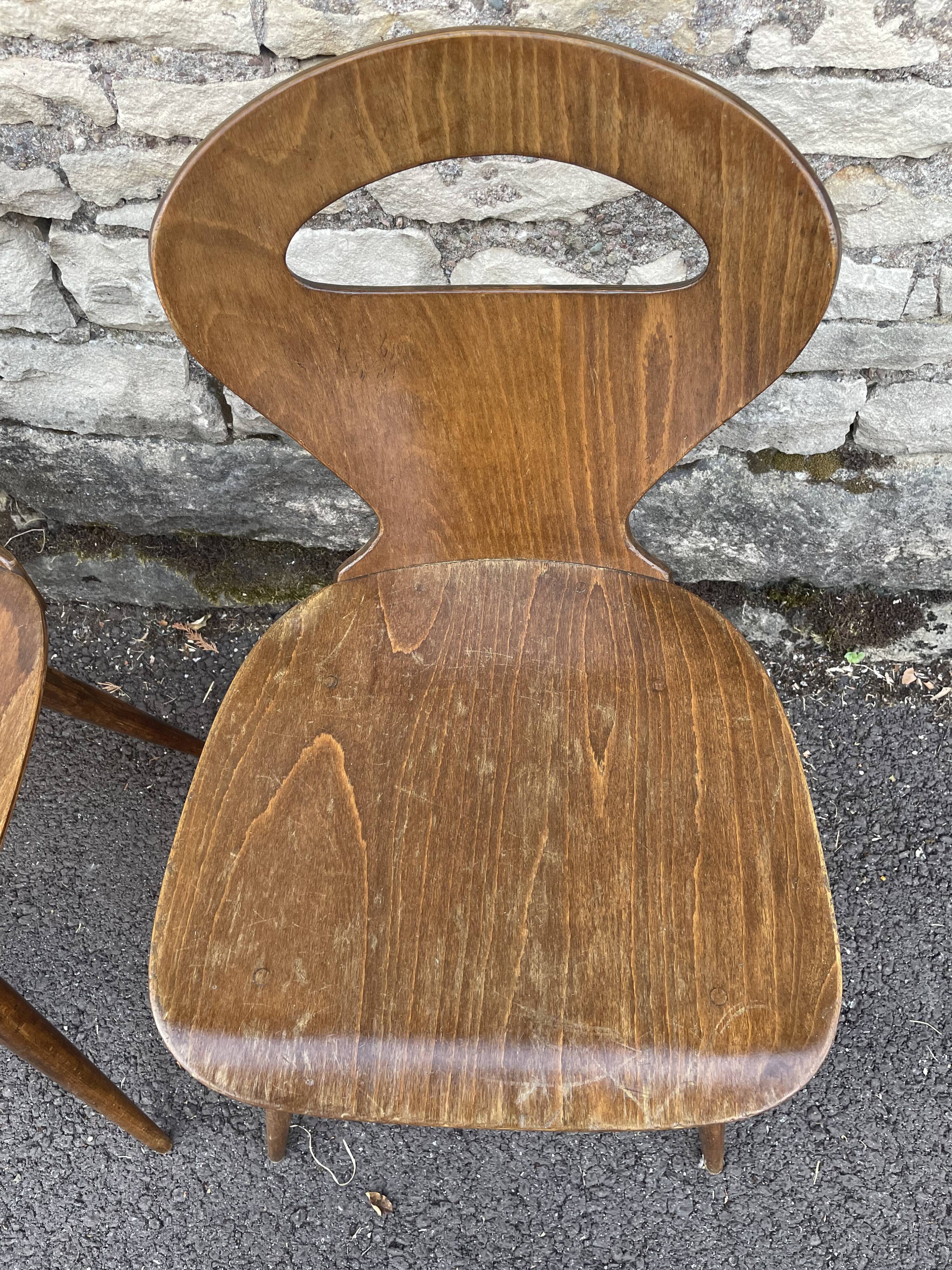 Baumann chairs "ant"