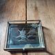 Box jewelry mosaic glass stained glass Deco Bird engraved dpc 0823317