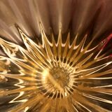 Paire de vases en verre de Murano