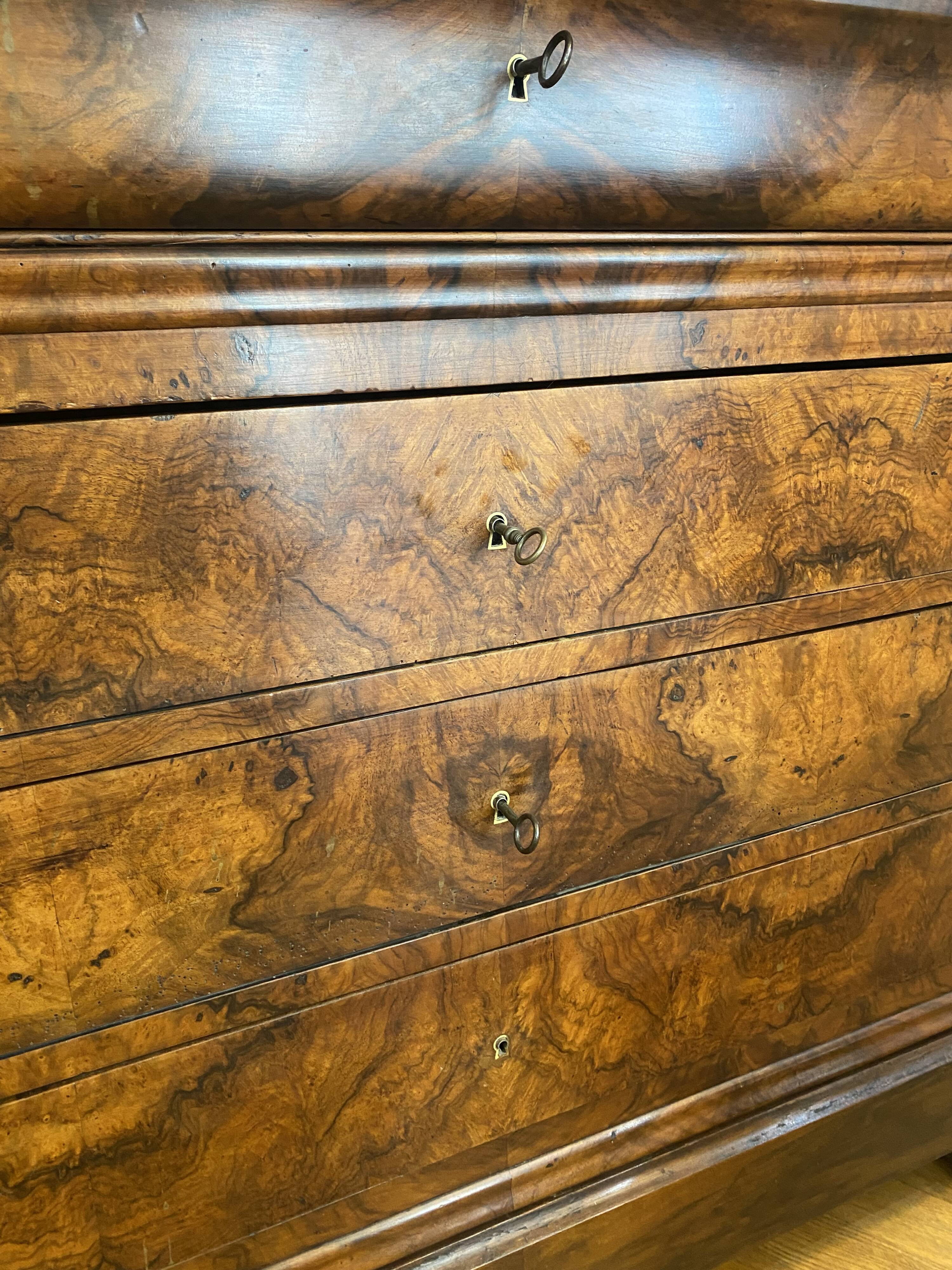 Louis Philippe chest of drawers in walnut