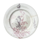 Jules Vieillard flat plate Colibris model