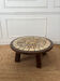 Vintage herbarium coffee table