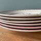 Lot de 6 assiettes plates collection Epernay Digoin Sarreguemines