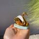 Limoges porcelain salt and pepper shakers with a bird motif