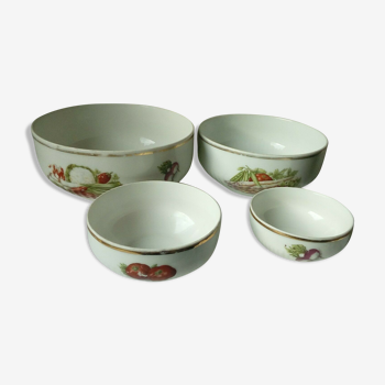 Set of 4 salad bowls in Limoges porcelain decor legumes 4 seasons