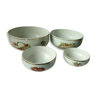 Set of 4 salad bowls in Limoges porcelain decor legumes 4 seasons