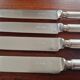 Ercuis - Set of 4 table knives model Chinon with metal outline.
