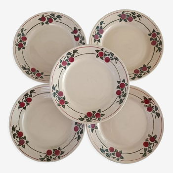 Lot de 5 assiettes terre de fer