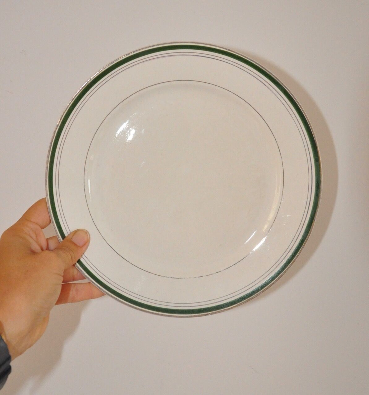 Service of 8 plates Digoin Sarreguemines