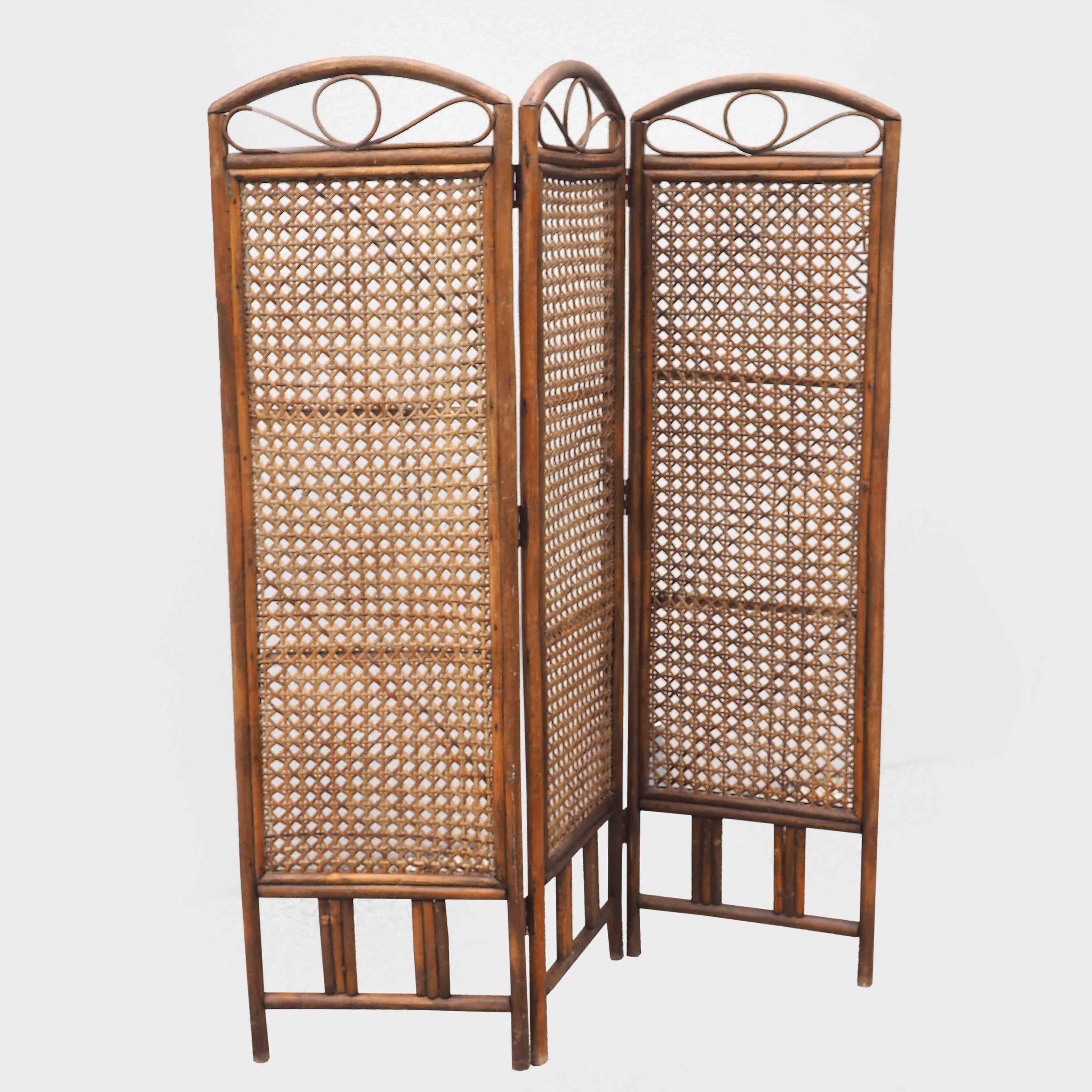 Cane screen