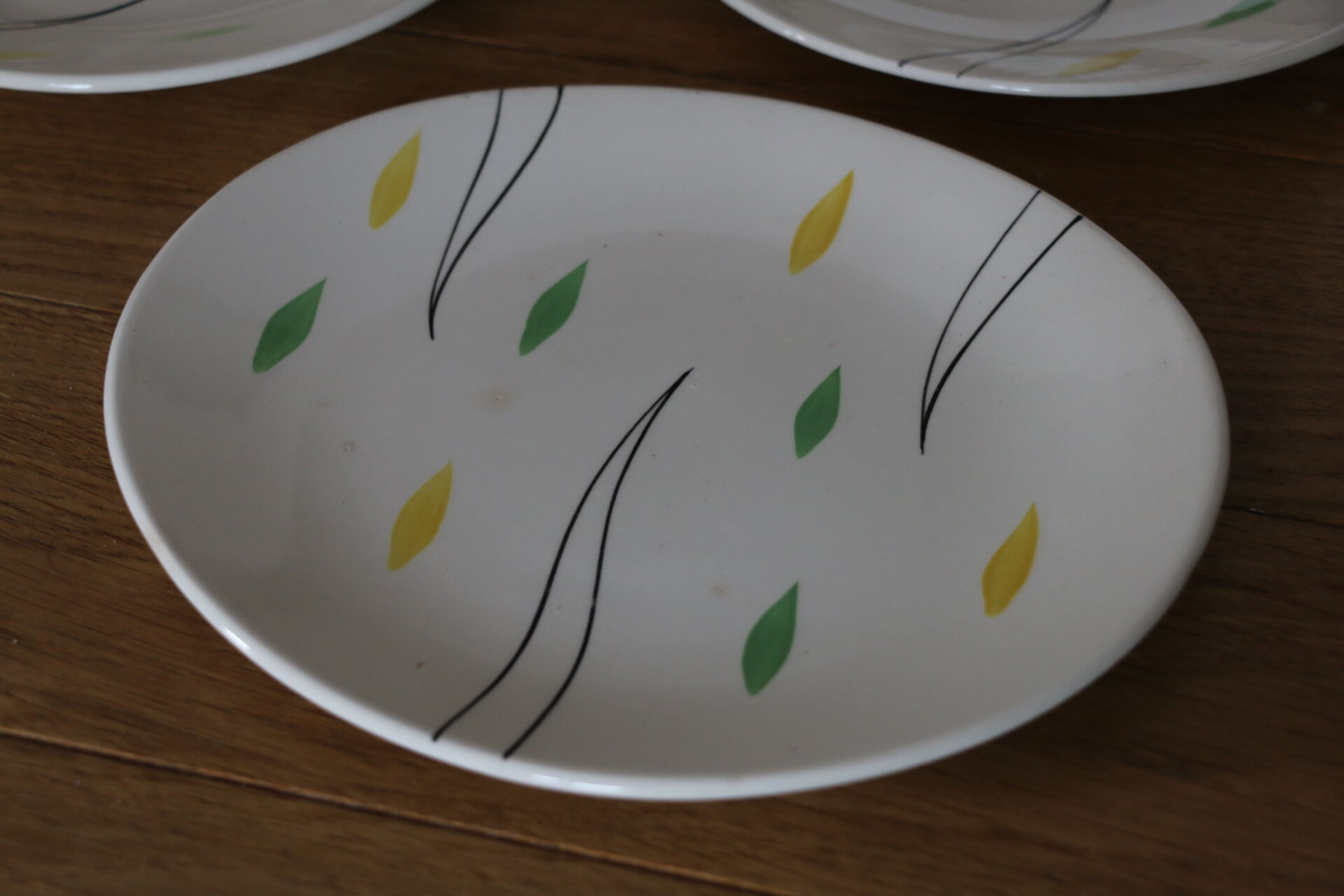 Set of Salins earthenware dishes