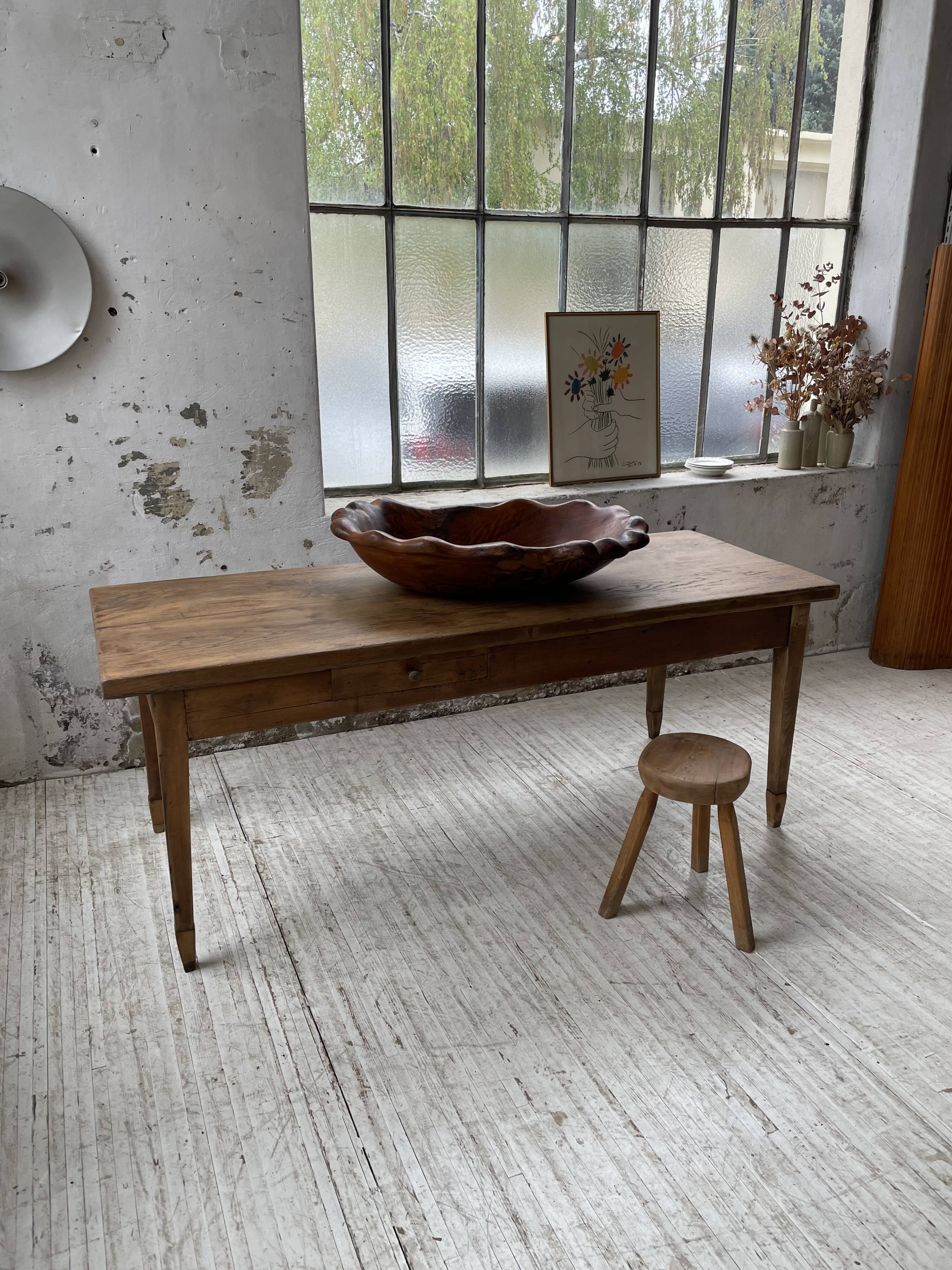 XL thuja root wooden dish