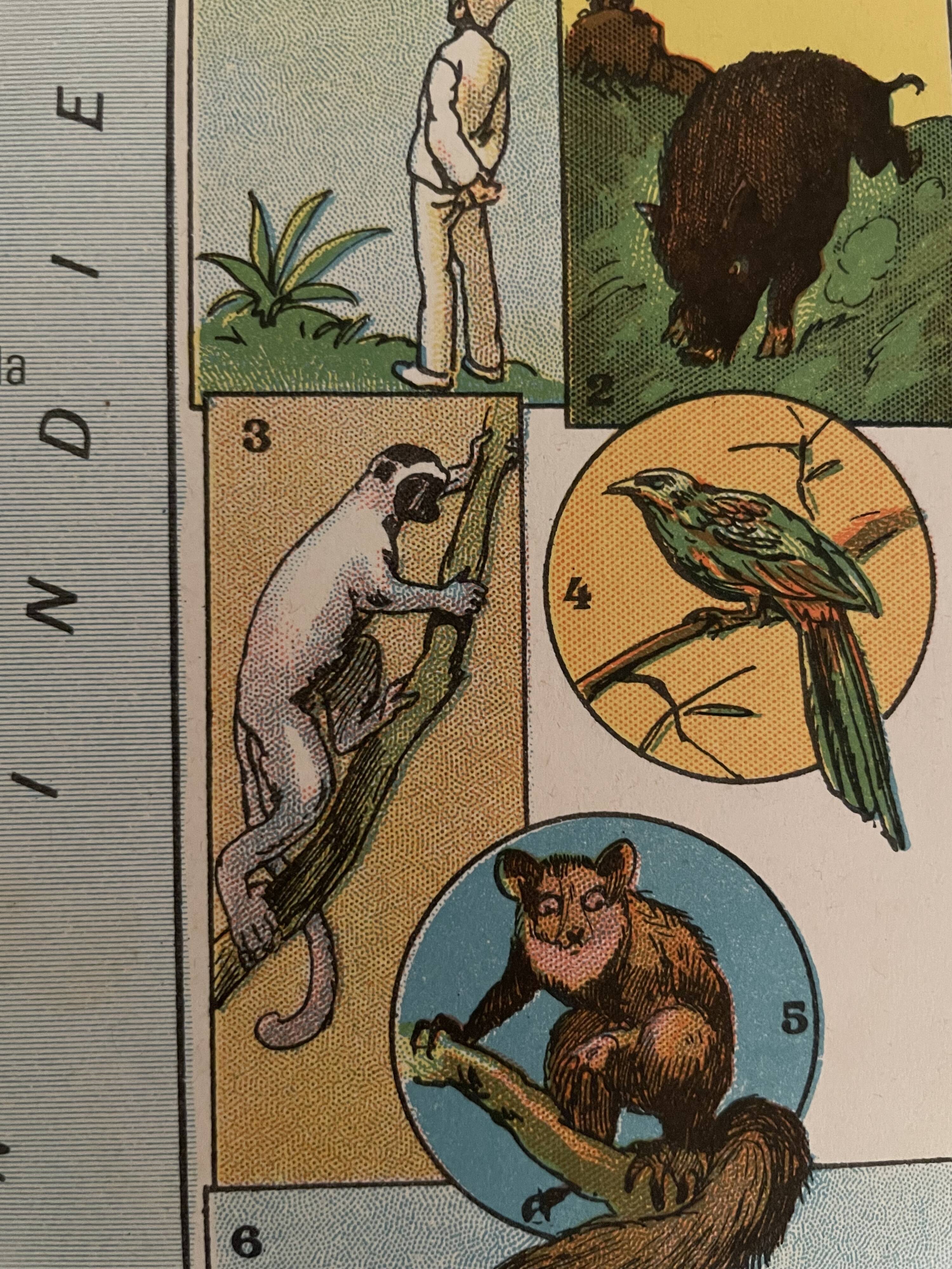Old poster map of Madagascar - 1931