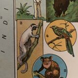 Old poster map of Madagascar - 1931