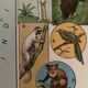 Old poster map of Madagascar - 1931