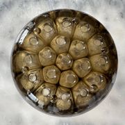 1950’s French glass flower frog