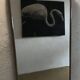 Vintage 1960 free-form mirror known as a rear-view mirror.