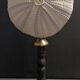 Cabinet de Curiosités oursin sphaerechinus granularis sur socle
