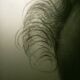 Magnificent portrait pencil drawing 19th century