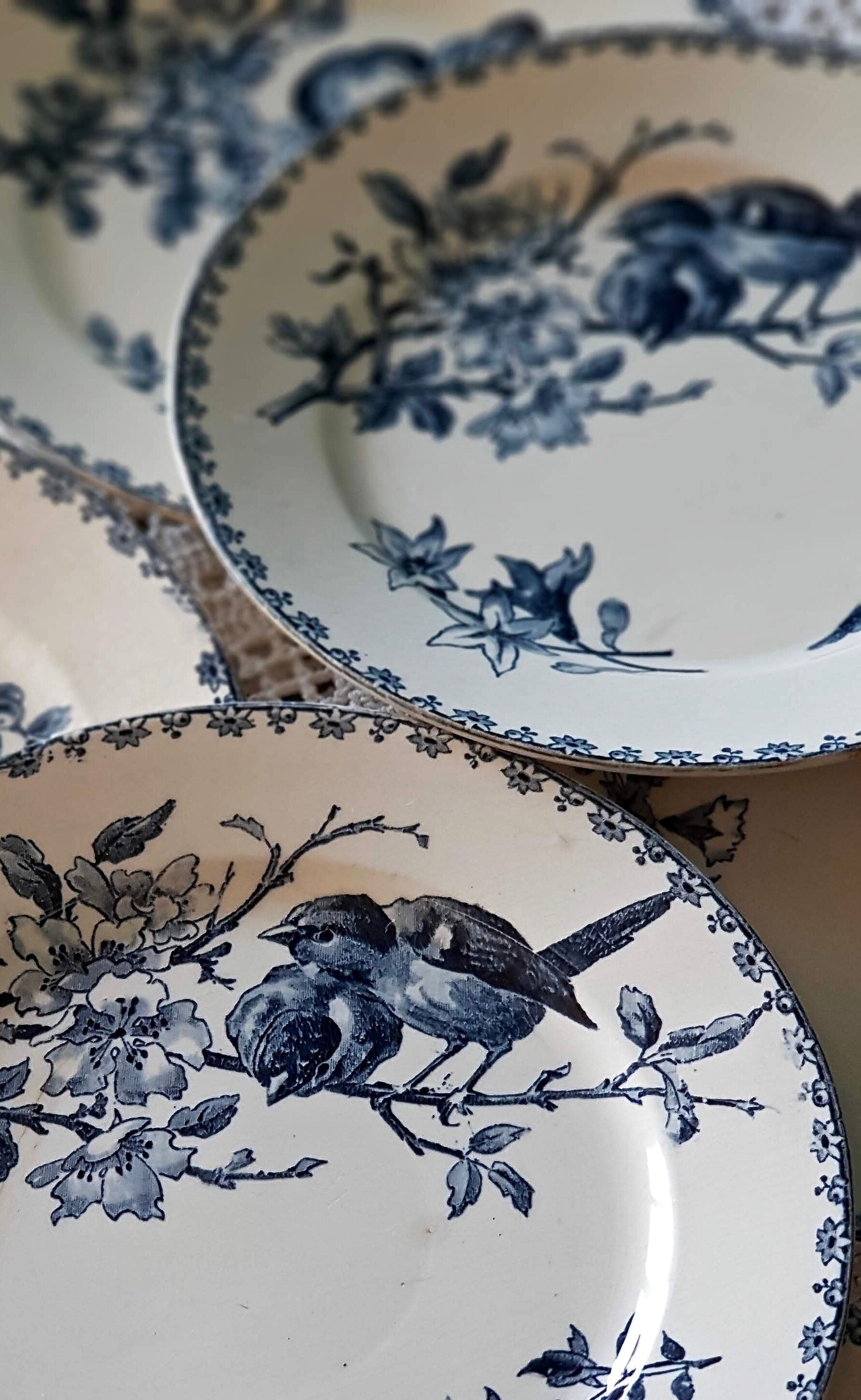 Sarreguemines set of 6 dessert plates model blue favorite