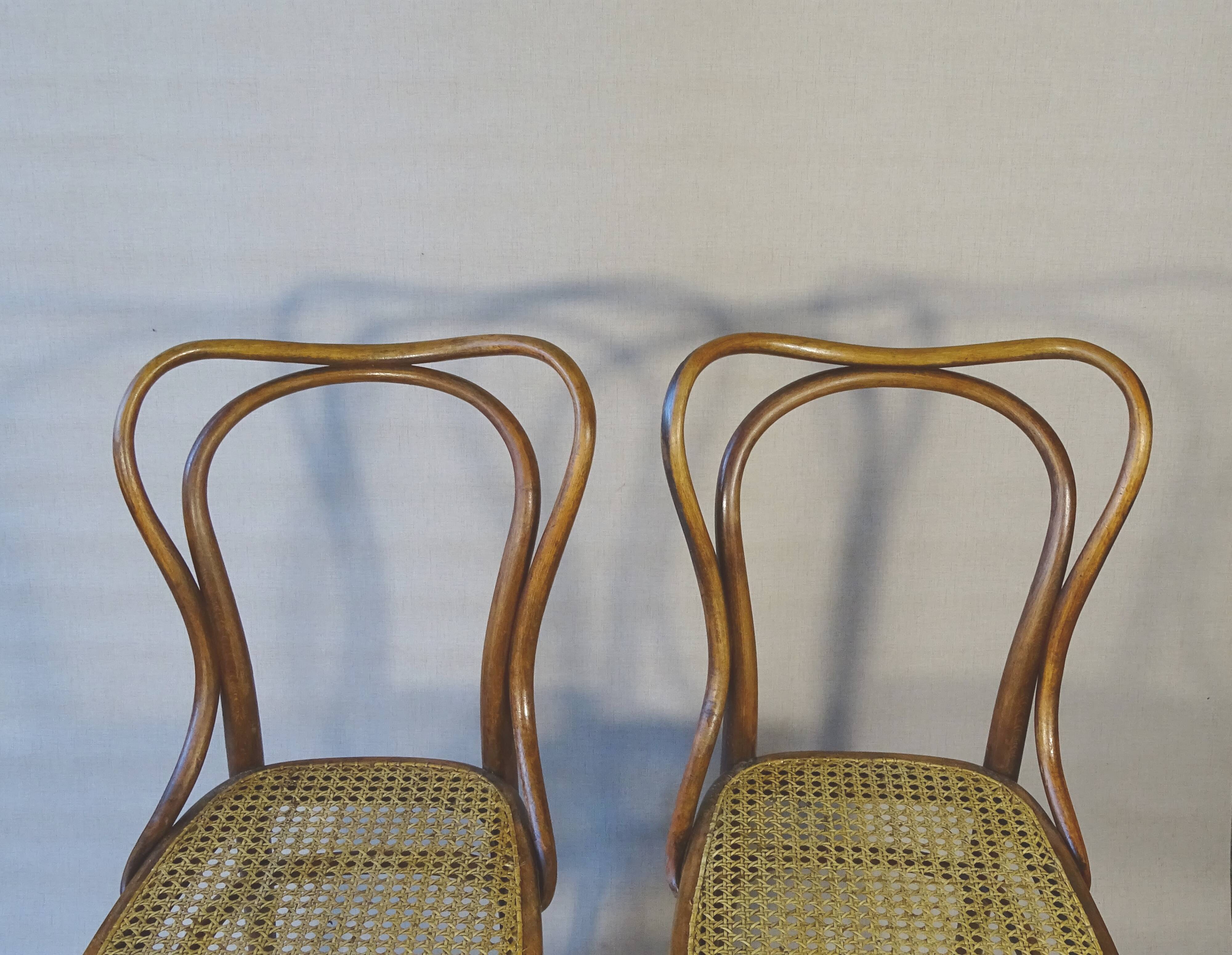 2 Bistro chairs No. 55- 3/4 by Kohn, circa 1905, caned