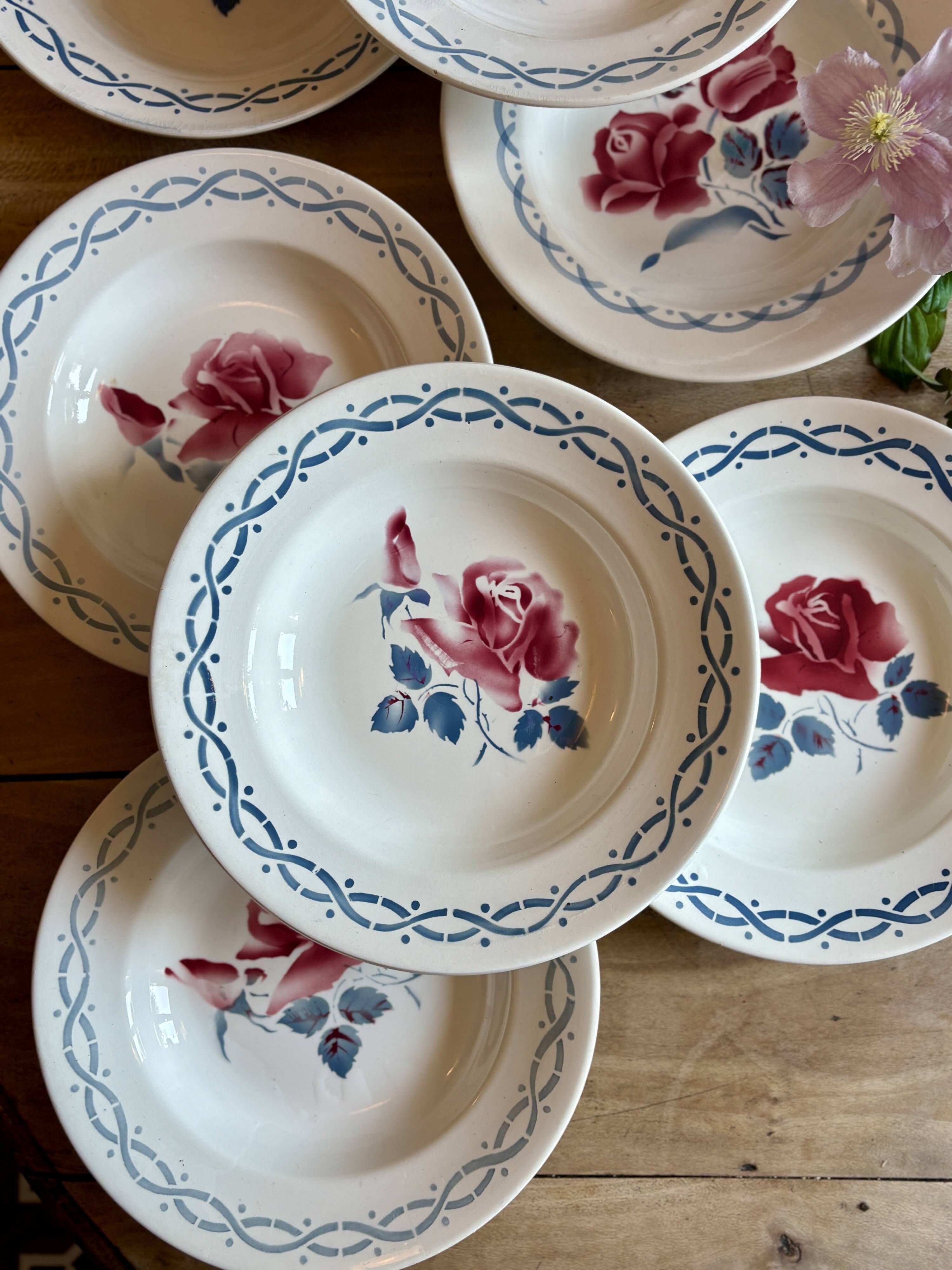 Set of 8 vintage soup plates - Janine and Cannes model by Digoin Sarrr