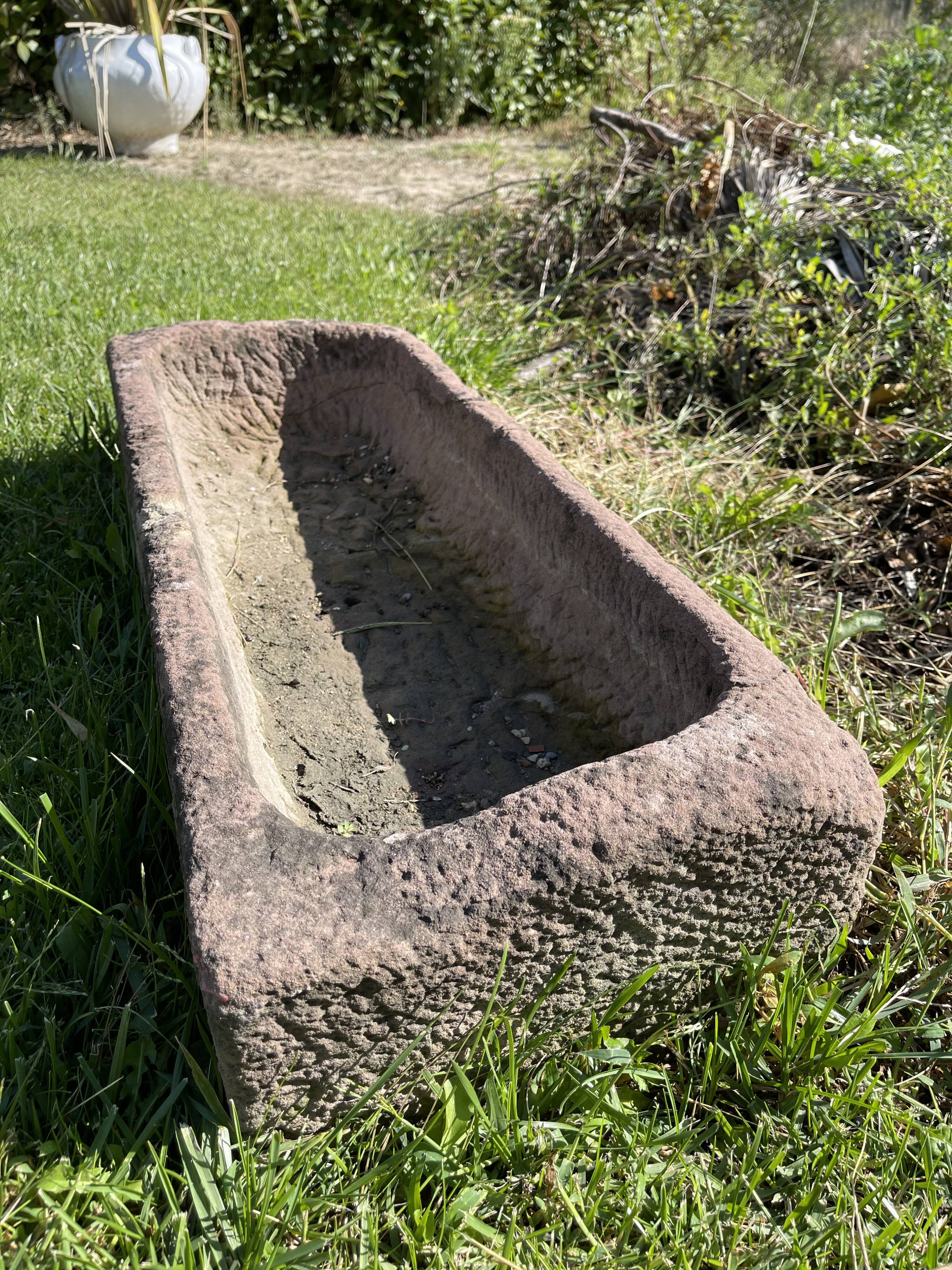 Trough in sandstone of the Vosges