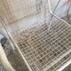 Pair of vintage armchair EMU RIO 1960-1980's