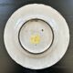 Collection of 3 botanical dishes made in Italy.