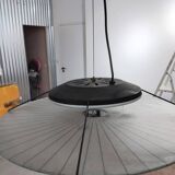 Suspension Stefano Cevoli