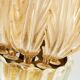 Pair of Murano glass wall sconces with gold accents Mid-century modern in Italy