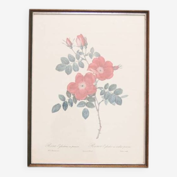 roses imprimées sur cadre en bois vintage