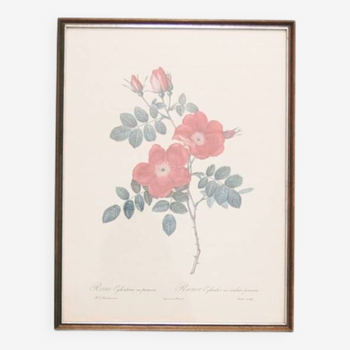 vintage wooden frame print roses